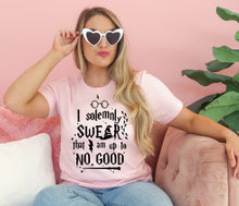 Load image into Gallery viewer, I Solemnly Swear I Am Up To No Good- Adult