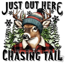Load image into Gallery viewer, Amber Z. Fall/TG/Christmas Admin Preorder

