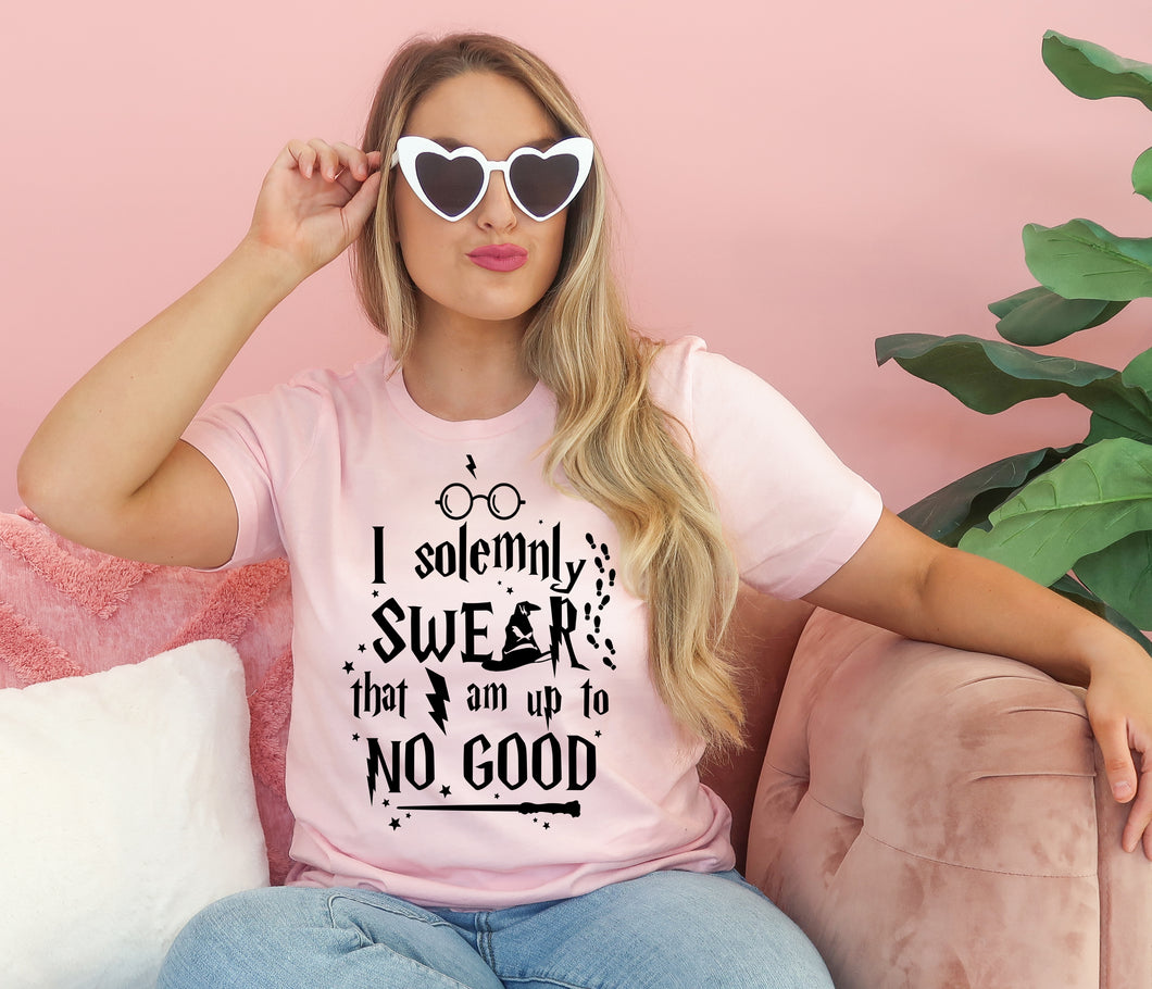 I Solemnly Swear I Am Up To No Good- Adult