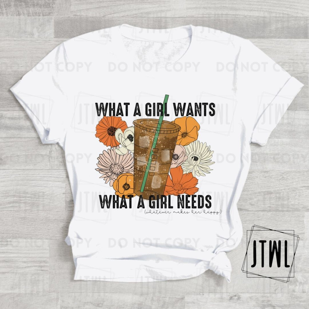 What A Girl Wants, What A Girl Needs- Adult