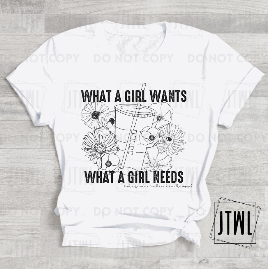 What A Girl Wants, What A Girl Needs- Adult