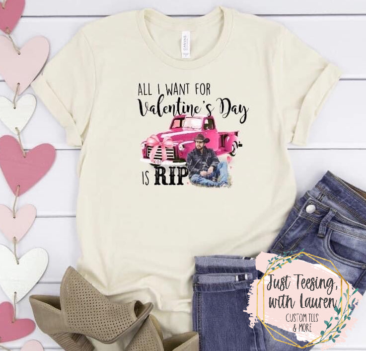 All I Want For Valentine's Day Is Rip- Adult